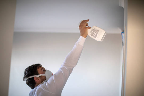 Best Fast Mold Removal  in North Vernon, IN