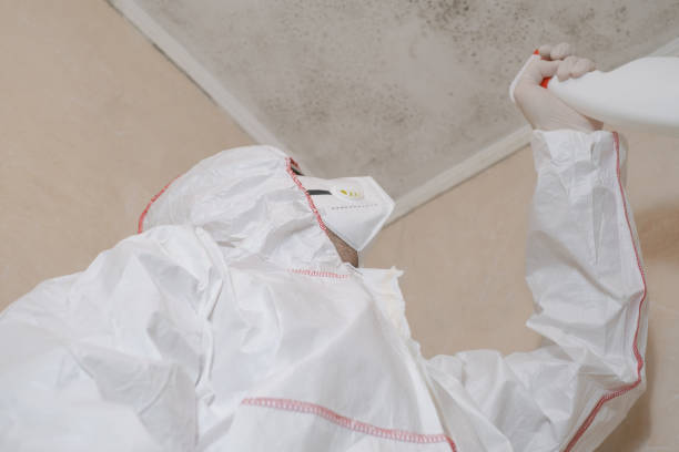 Best Crawl Space Mold Removal  in North Vernon, IN