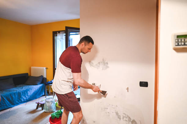 Best Mold Remediation  in North Vernon, IN
