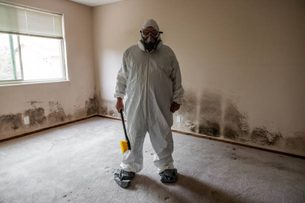 Best Mold Cleaning Services  in North Vernon, IN